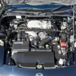 WhatsApp Image 2026-01-27 at 21.56.19 (1)